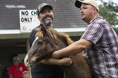 Chincoteague Wild Ponies : Personal Photo Projects : Photos : Richard Moore : Photographer